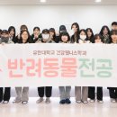 비엔동물전문의료센터 이미지