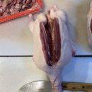 제천닭집 이미지