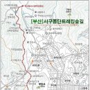 구덕산책로 숲길 티스토리