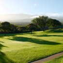 홀인실내골프연습장 이미지