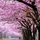 영재어린이집 이미지