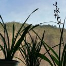 뽑아보세 이미지