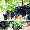 민영이네 이미지