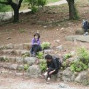 갑수C Daum카페