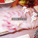 씨유 연산오방맛길점 | 부산 연산동 횟집 활어회 맛집 고기쟁이
