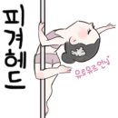 베리폴댄스 이미지