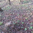 생동농장 이미지