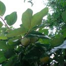 추억의 팝송 이미지