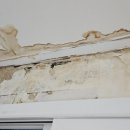 남서울프라자 이미지