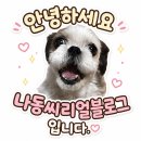 [고민상담] 유라이크 제모기 목뒤 헤어라인에 써보신 분?! (광고❌ 내돈내산 찐후기 구해요) + 나동...