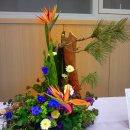 카톨릭대학교 이미지