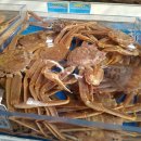 기장시장대게 이미지