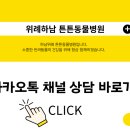 튼튼동물병원 네이버블로그