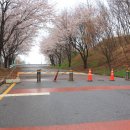 무궁화동산 화장실 | 장아산 무장애나눔길 인천 트레킹 추천 강아지 산책 등산