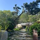 고냥이네 | 안성 풍사니랑 : 댕댕이&amp;고냥이로 힐링할 수 있는 카페 체험기