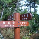 2/18(일)신안송공산분재공원애기동백/함평해수찜질/함평육회비빔밥 이미지