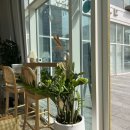 유어 그릭 이미지