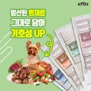 참좋은마트 이미지