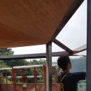 고령차유리 이미지