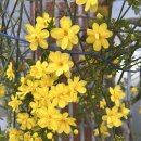 우리반점 | 남해 만약에 우리 촬영지 중식 맛집 은호식당 지족반점 웨이팅 후기