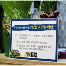 주문진여기어때