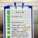 벌툰영종