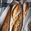 수제샌드위치 이미지