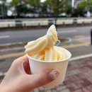 배달삼겹 직구삼 장안점 | 수원 KT 위즈파크 맛집 나오리장작구이 식사부터 후식까지 완벽했던 내돈내산 후기