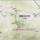 자작나무숲정상 이미지