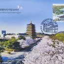 보문관광단지 Daum카페