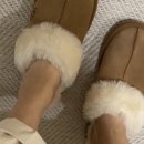 UGG CLOSET 어그 클로젯 최대 60% 세일 오픈! 블랙 프라이데이 시작! 플러프 슬리퍼 60불대 핫딜!