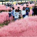 낙동강관리본부 대저생태공원 2 이미지