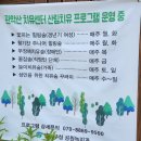 관악산 계곡 캠핑장 이미지