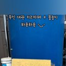 하숑하숑 이미지