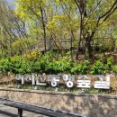 아차산 동행숲길 | 26년 4월13일 천천히 걷기 좋은 산책로 아차산동행숲길