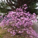 새말 경로당 이미지