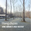 비발디 캠핑파크 | 홍천 캠핑장 비발디캠핑파크 본점 후기｜계곡·수영장·키즈·애견동반 가족 캠핑 (B존 타프사이트)
