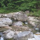 영월캠프 이미지