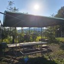 하빈농장 이미지