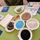 황토열매마을 이미지