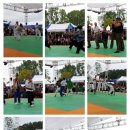 국제무사합기도 | 2012 충주세계무술축제 관람후기
