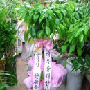 대우노래방 이미지