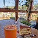 솔향수목원(제3주차장) | 강릉 대형 카페 솔향수목원 근처 이쁜 정원 힐링 스팟 테루아르