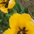 소중세천 이미지