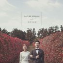 바람사진관