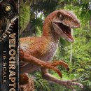 벨로시랩터 이미지