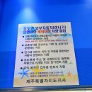 우도 렌트카 반입 관련 정확한 정보 드립니다 결론은 부분적으로 됩니다 이미지