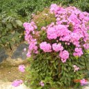 신안농장 이미지