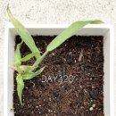 원호상사 이미지