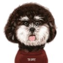 퍼스트 독 앤 캣 이미지